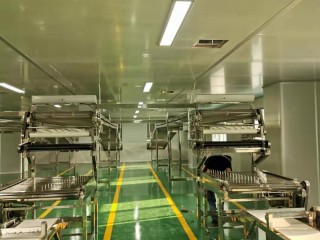 惠州大型河粉生产线